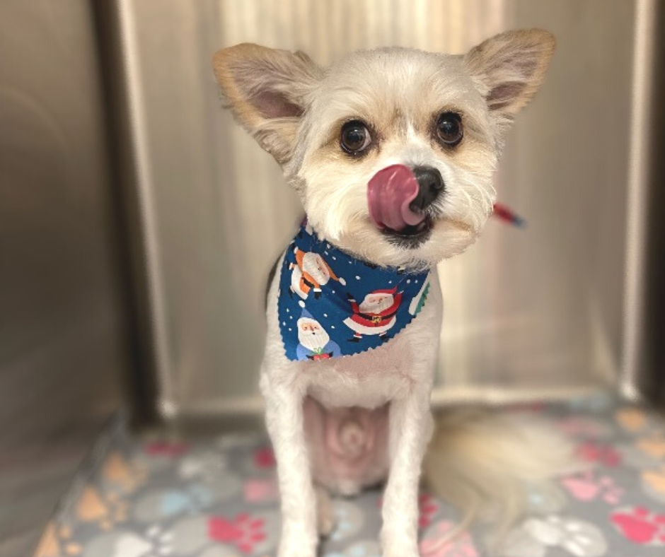 ralphie ralphie