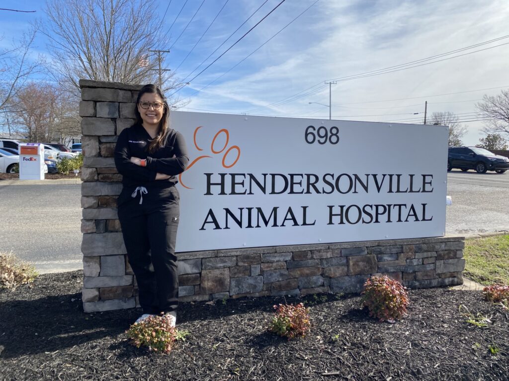 Dr.Brenda Arras Hendersonville Animal Hospital